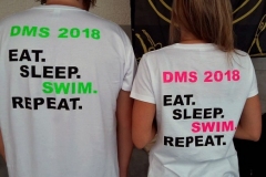 db_DMS-Masters-2018-6-002-