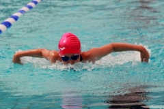 db_Haselunne-2018-IMG_3091