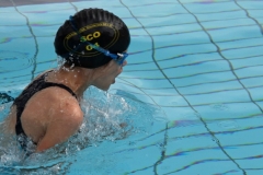 db_Haselunne-2018-IMG_3168