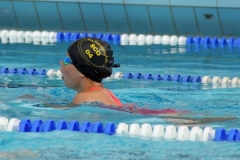 db_Haselunne-2018-IMG_3175