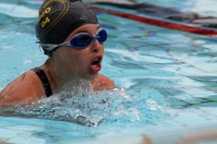 db_Haselunne-2018-IMG_3192