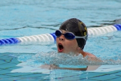 db_Haselunne-2018-IMG_3209