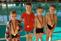 db_KIDS-2018-IKPY3597-1-