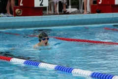 db_Haselunne-IMG_3340