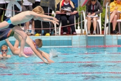 db_Haselunne-IMG_3415