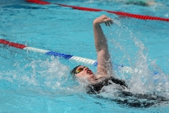 db_Haselunne-IMG_3440