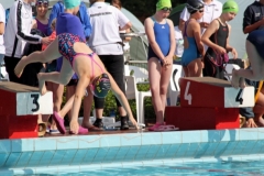 db_Haselunne-IMG_3464