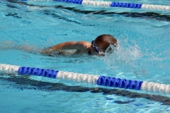 db_Haselunne-IMG_3487