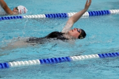 db_Haselunne-IMG_3614