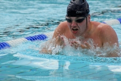 db_Haselunne-IMG_3650